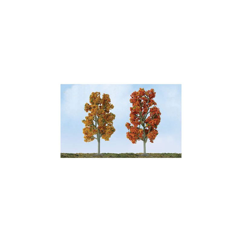 Autumn Sycomores Tree 87 to 100mm - Laddle Ho | Scientific-MHD