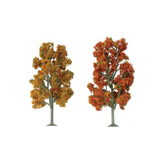 Fané Sycomores tree 62 to 87mm - Ladder N | Scientific-MHD