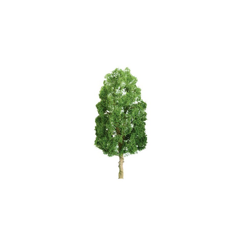 50mm Sycomores tree - Ladder N | Scientific-MHD