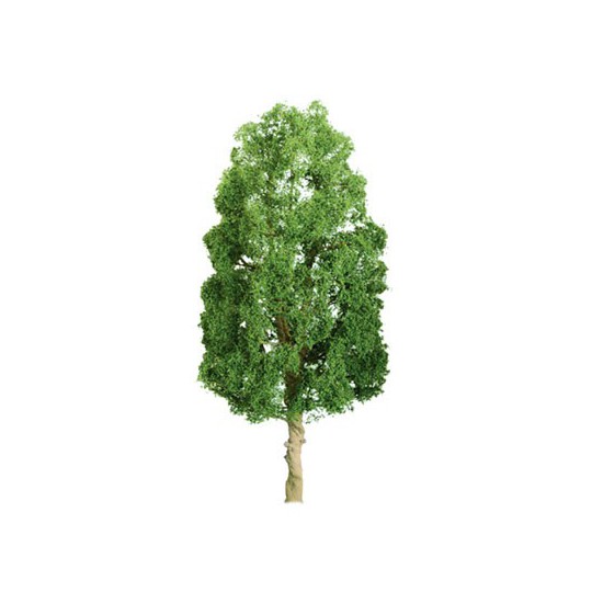 50mm Sycomores tree - Ladder N | Scientific-MHD