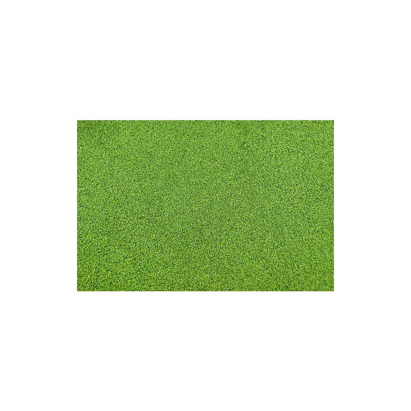 Light green lawn carpet lawns - 127 x 254 cm | Scientific-MHD
