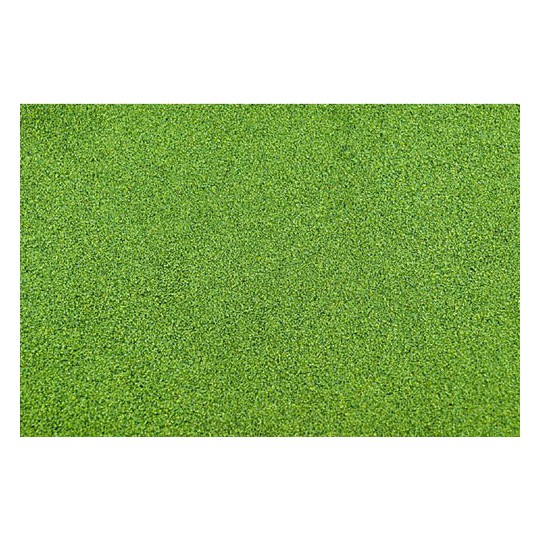 Light green lawn carpet lawns - 127 x 254 cm | Scientific-MHD