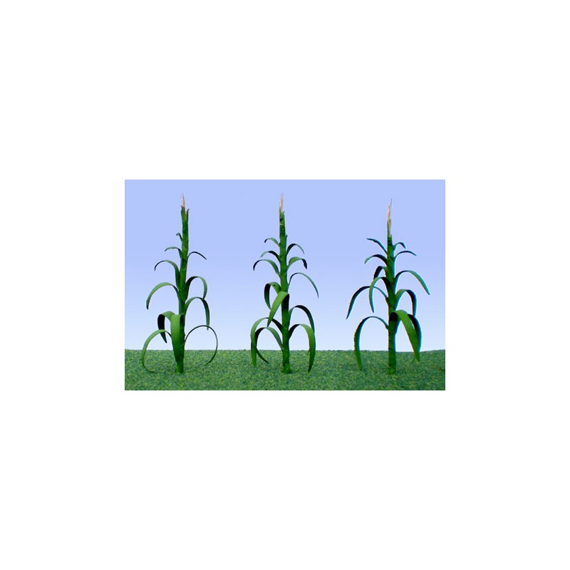 Flower plans 25mm corn - lade ho | Scientific-MHD