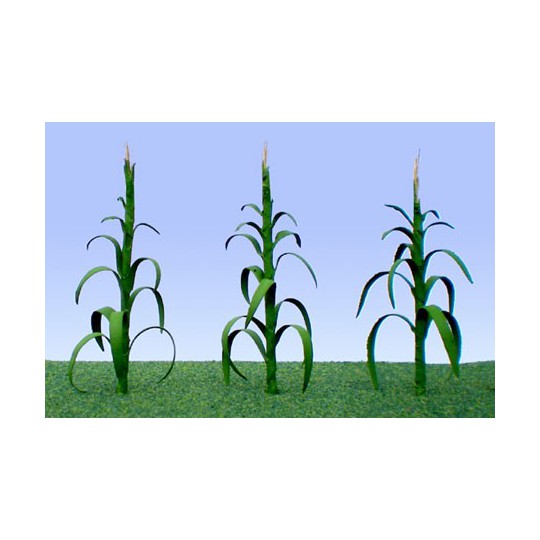 Flower plans 25mm corn - lade ho | Scientific-MHD