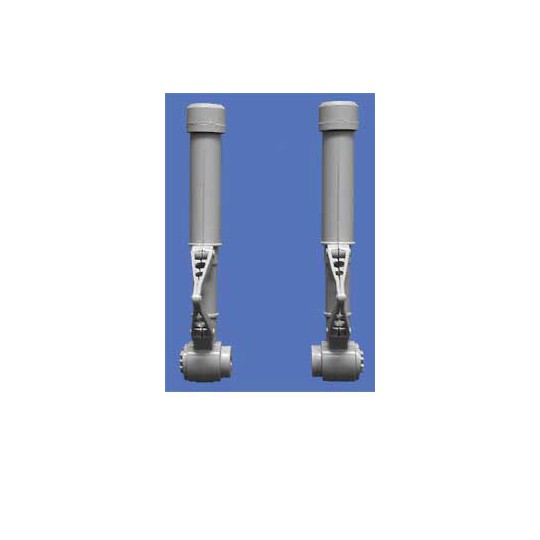 Embedded accessory Bi-legs 10cc | Scientific-MHD