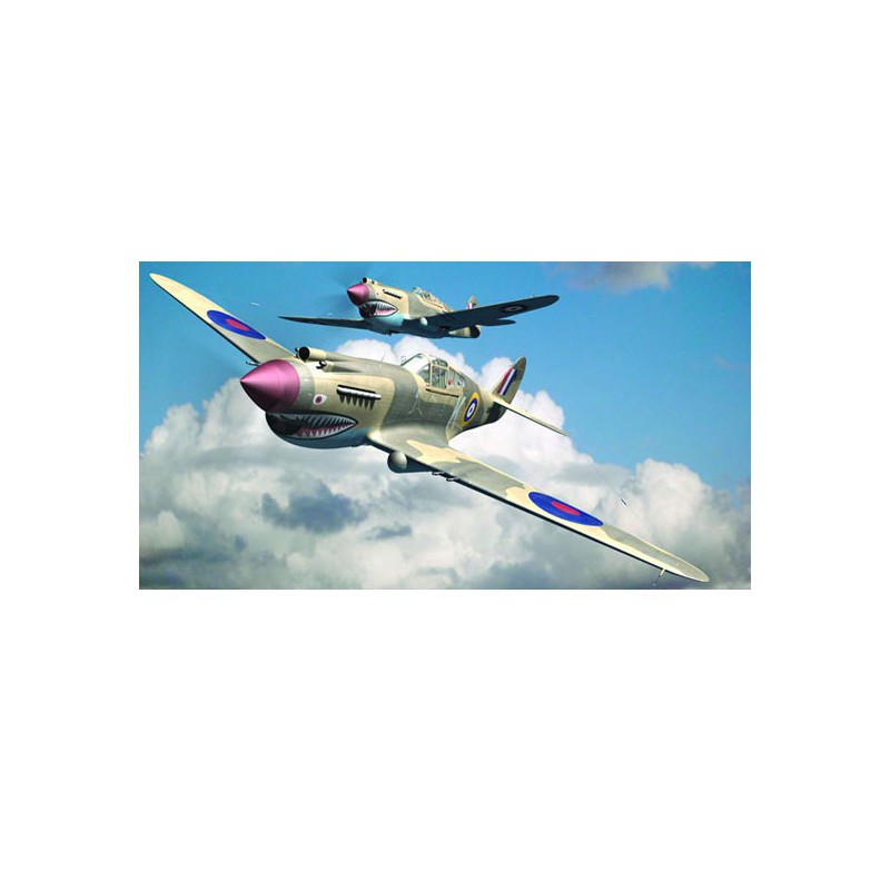 P-40B Warhawk plastic plane model | Scientific-MHD