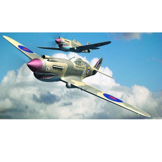 P-40B Warhawk plastic plane model P-40B Warhawk plastic plane model | Scientific-MHD