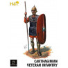 Carthaginian veterans 1/32 figurine | Scientific-MHD