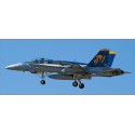 Plastic plane model F/A-18C HORNET | Scientific-MHD