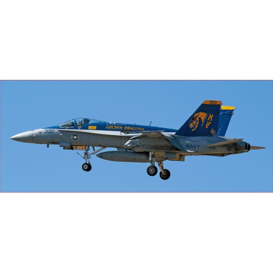 Plastic plane model F/A-18C HORNET | Scientific-MHD