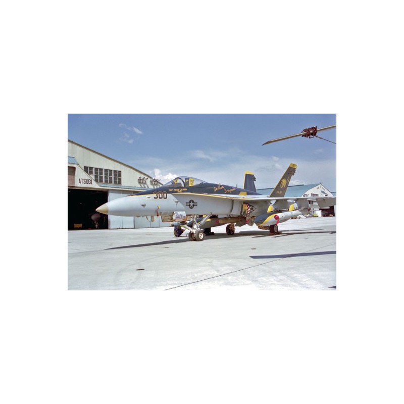 Plastic plane model F/A-18C HORNET | Scientific-MHD