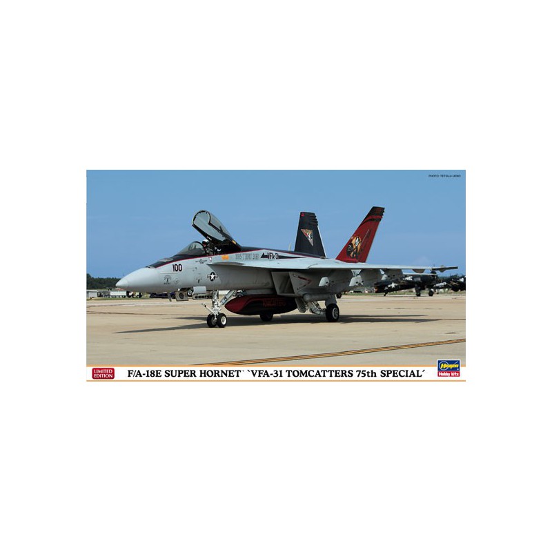 Plastic plane model 1/72F/A-18th VFA-31 Tomcatter | Scientific-MHD