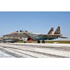 Plastic plane model 1/72F-15i Israeli AF | Scientific-MHD
