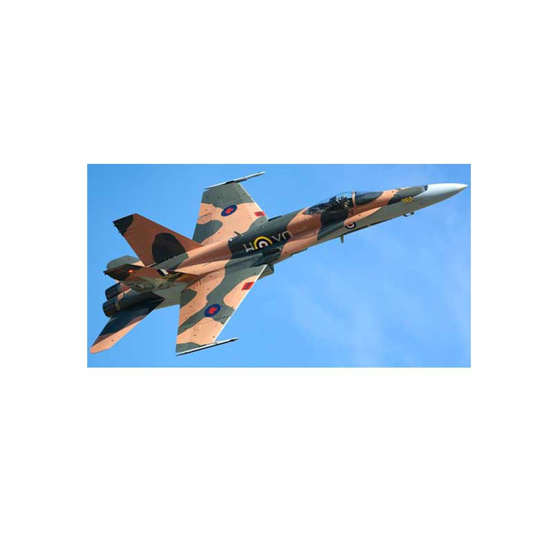 Plastic plane model cf-18a hornet 1/72 | Scientific-MHD