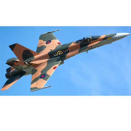 Plastic plane model cf-18a hornet 1/72 Plastic plane model cf-18a hornet 1/72 | Scientific-MHD