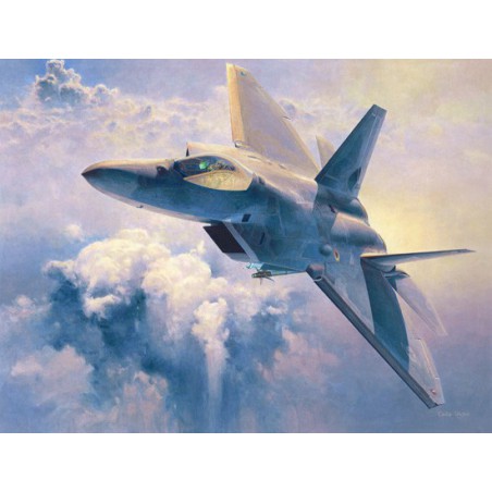 Plastic plane model F-22 Raptor 1/48 (PT45) | Scientific-MHD Plastic plane model F-22 Raptor 1/48 (PT45) | Scientific-MHD