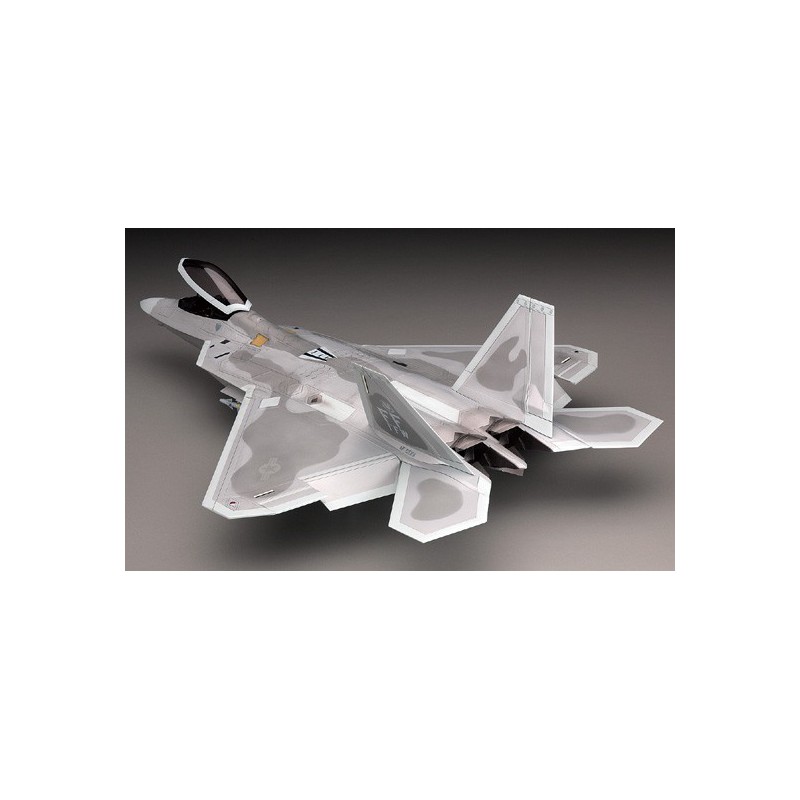 Plastic plane model F-22 Raptor 1/48 (PT45) | Scientific-MHD