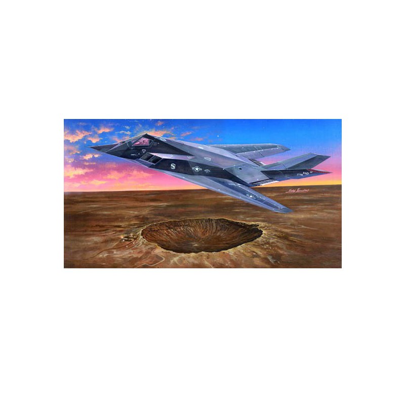 F-117A plastic plane model Nighthawk | Scientific-MHD