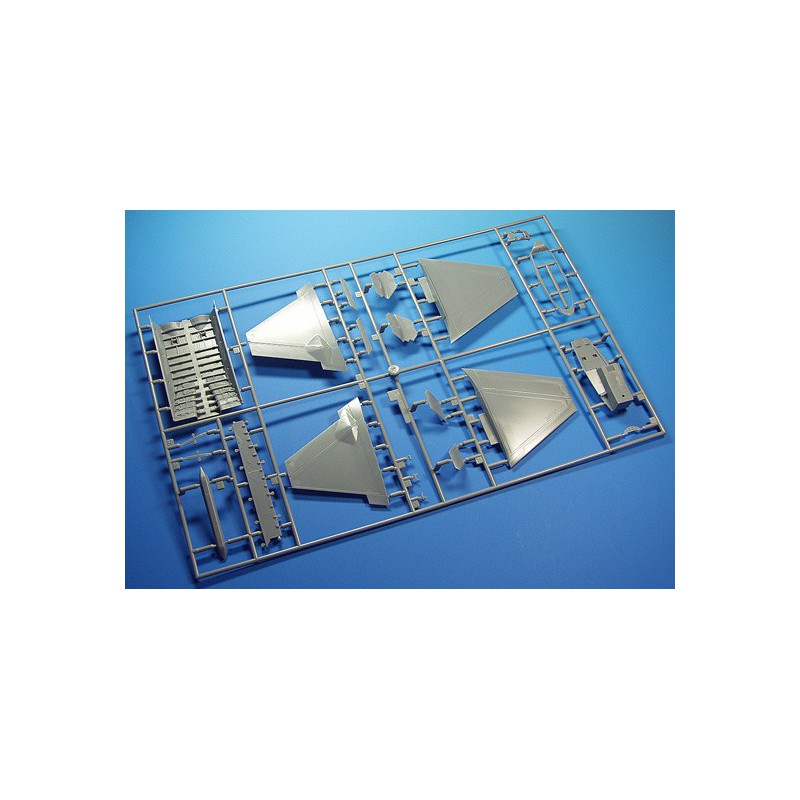 Plastic plane model F-22 Raptor 1/48 (PT45) | Scientific-MHD