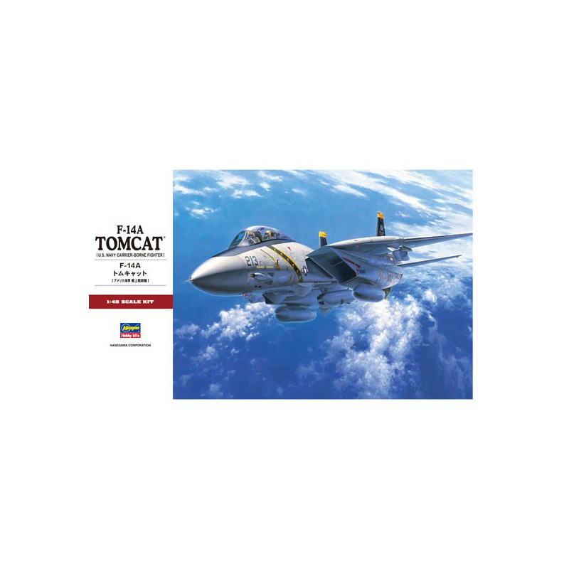 F-14A plastic plane model Tomcat 1/48 | Scientific-MHD