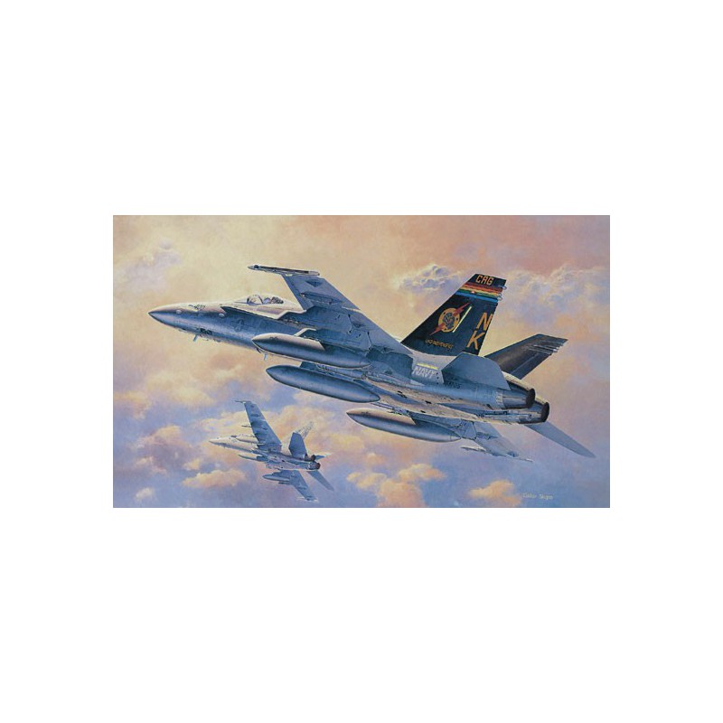 F/A-18 Plastic plane model/C Hornet 1/48 | Scientific-MHD