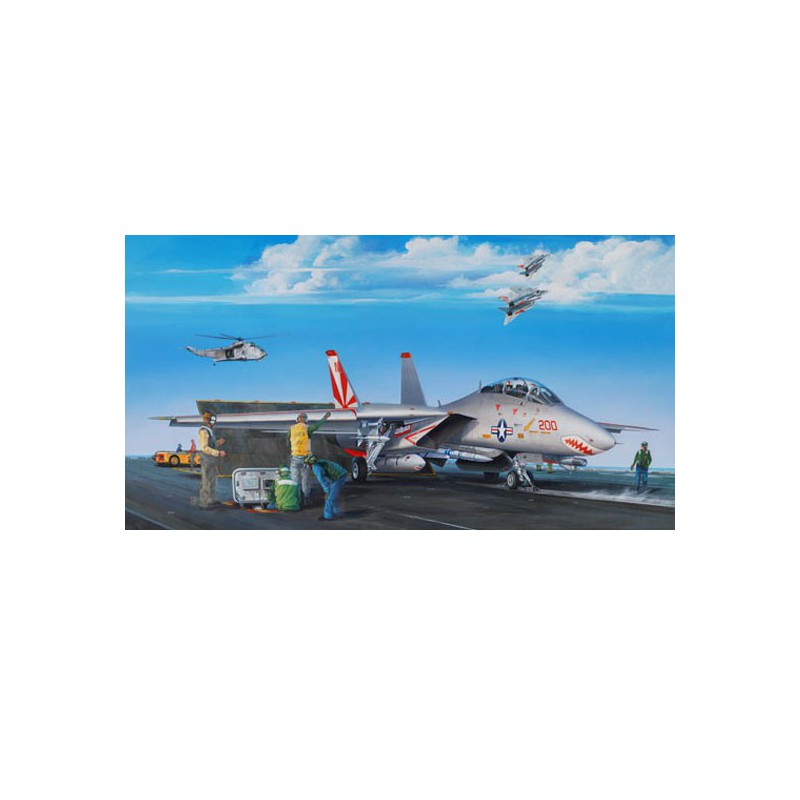 F-14A plastic plane model Tomcat | Scientific-MHD