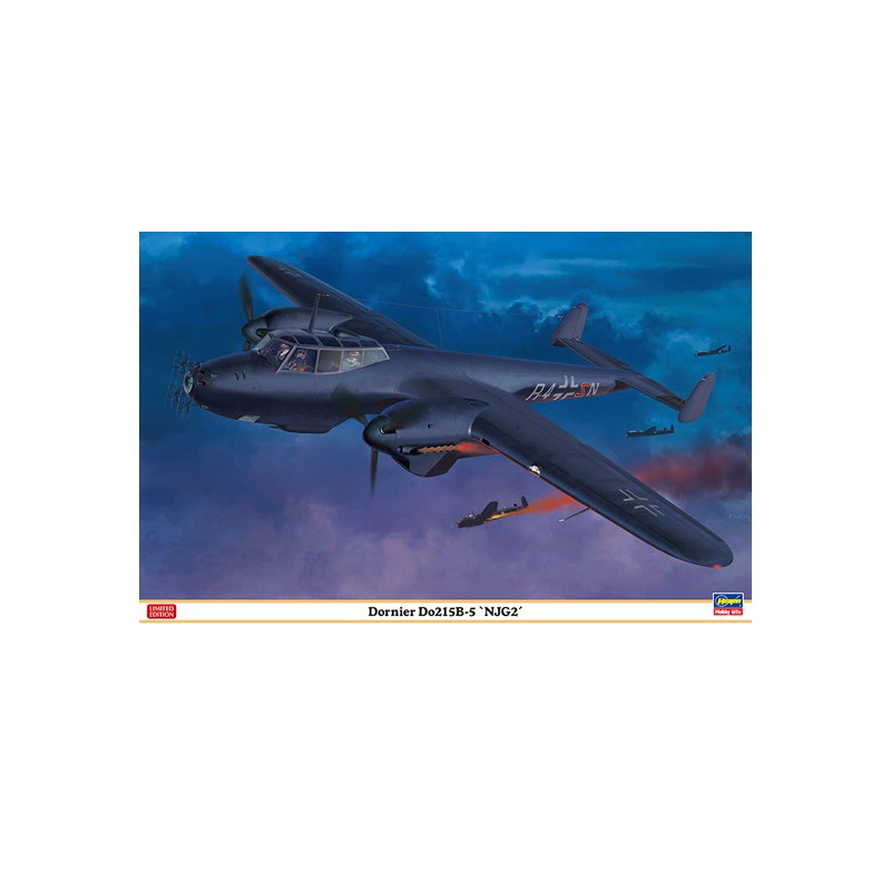 Dornier DO215B-5 1/48 plastic plane model | Scientific-MHD