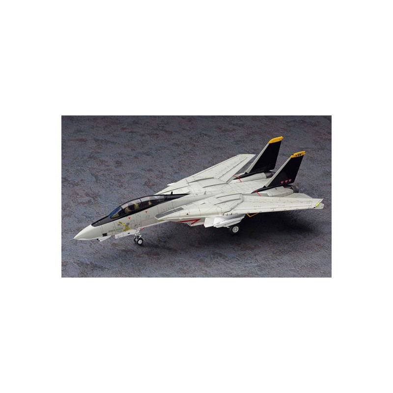 F-14A plastic plane model Tomcat ™ “Micky Scymon” | Scientific-MHD