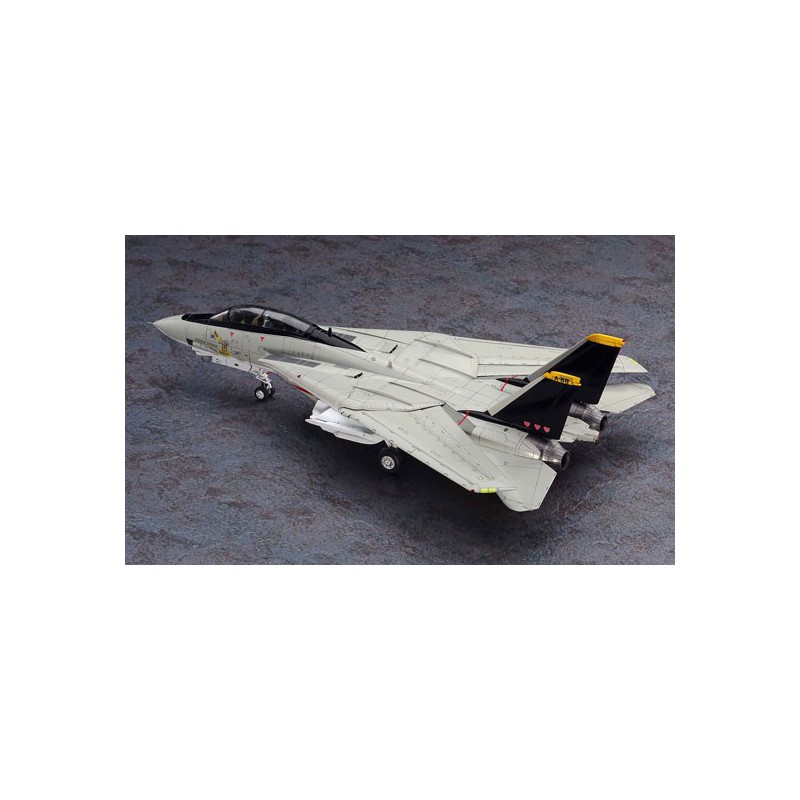 F-14A plastic plane model Tomcat ™ “Micky Scymon” | Scientific-MHD