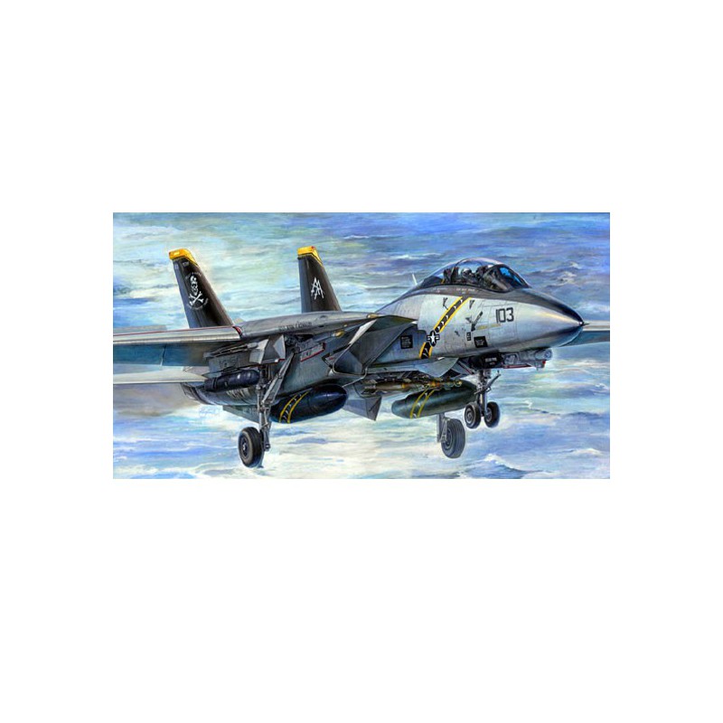F-13B plastic plane model Tomcat | Scientific-MHD
