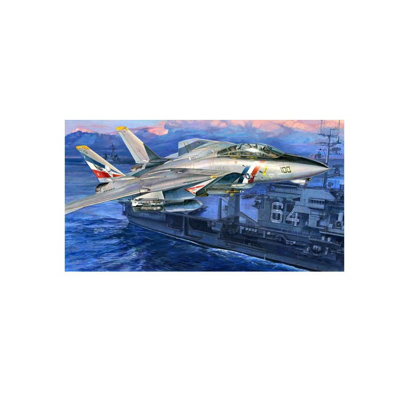 F-14D Super Tomcat plastic plane model | Scientific-MHD