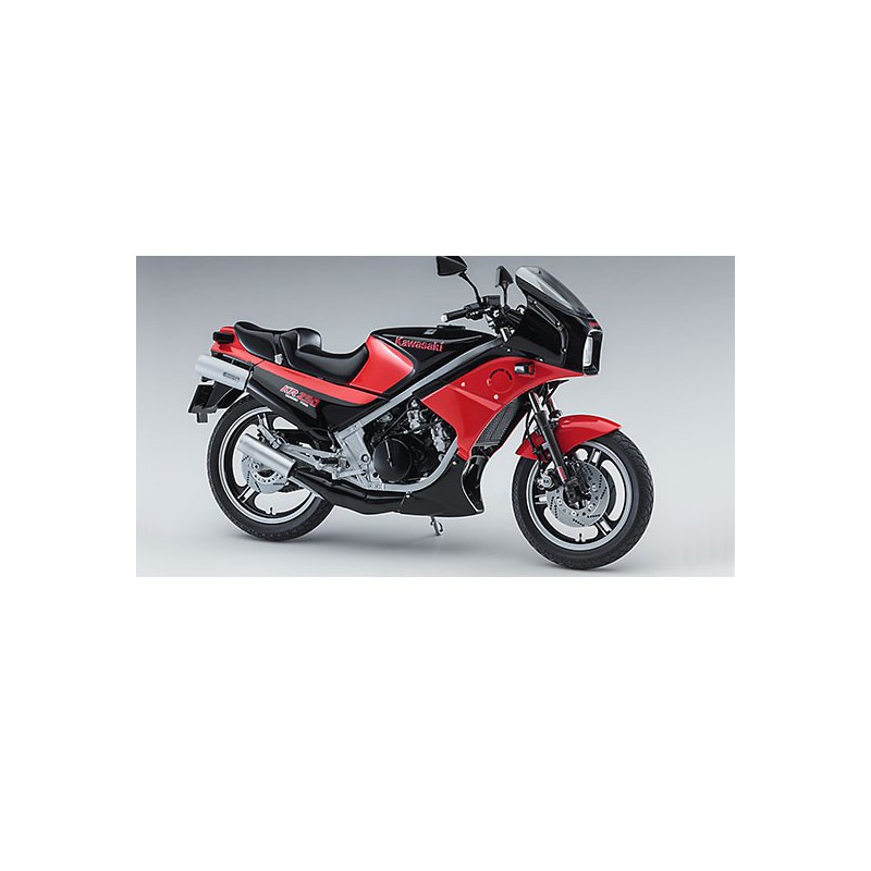Kawasaki KR250 plastic motorcycle model (KR250A) 1/12 | Scientific-MHD