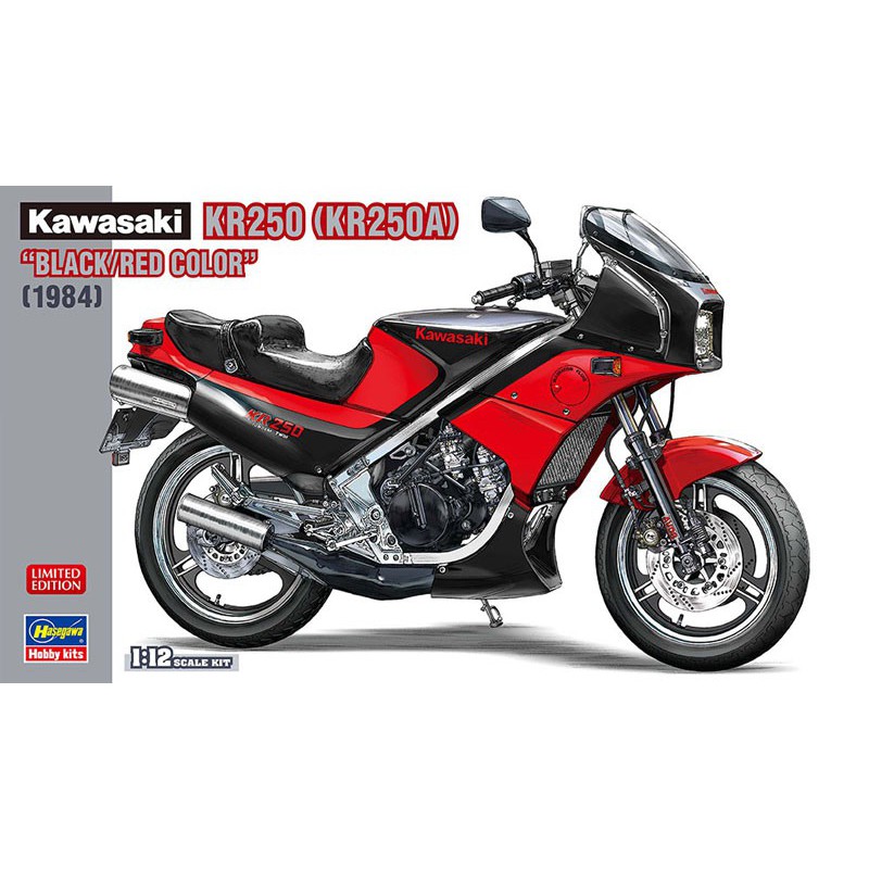Kawasaki KR250 plastic motorcycle model (KR250A) 1/12 | Scientific-MHD