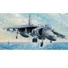 Plastic plane model AV-8B Harrier II | Scientific-MHD Plastic plane model AV-8B Harrier II | Scientific-MHD