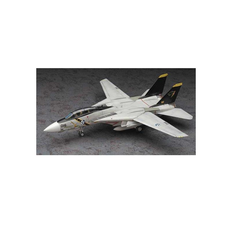 F-14A plastic plane model Ace Wardog 1/72 | Scientific-MHD