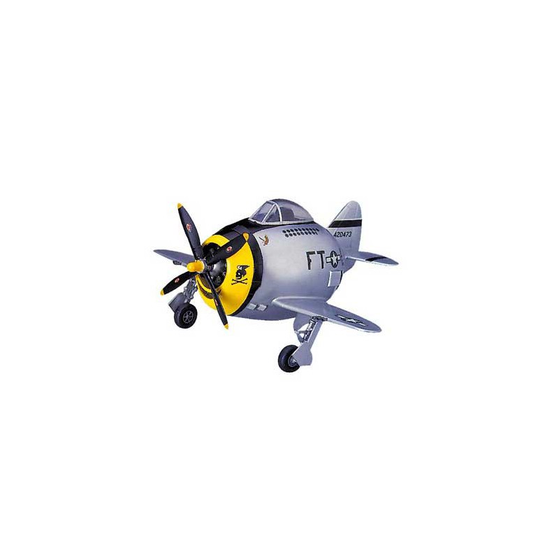 Egg plastic plane model P-47 Thunderbolt | Scientific-MHD