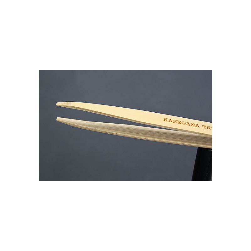 Bamboo precelle model tool | Scientific-MHD