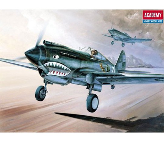 P-40C 1/72 plastic plane model P-40C 1/72 plastic plane model | Scientific-MHD