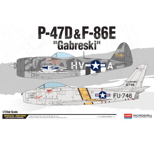 P-47D plastic plane model & f-86e as Gabreski 1/72 P-47D plastic plane model & f-86e as Gabreski 1/72 | Scientific-MHD