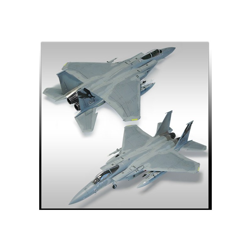 F-15 plastic plane model MSIP II 144th FW 1/72 | Scientific-MHD F-15 plastic plane model MSIP II 144th FW 1/72 | Scientific-MHD