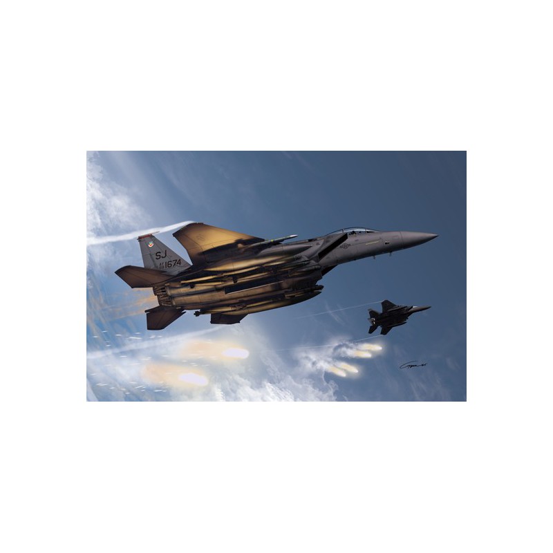 USAF F-15E 33TH 1/72 plastic plane model | Scientific-MHD