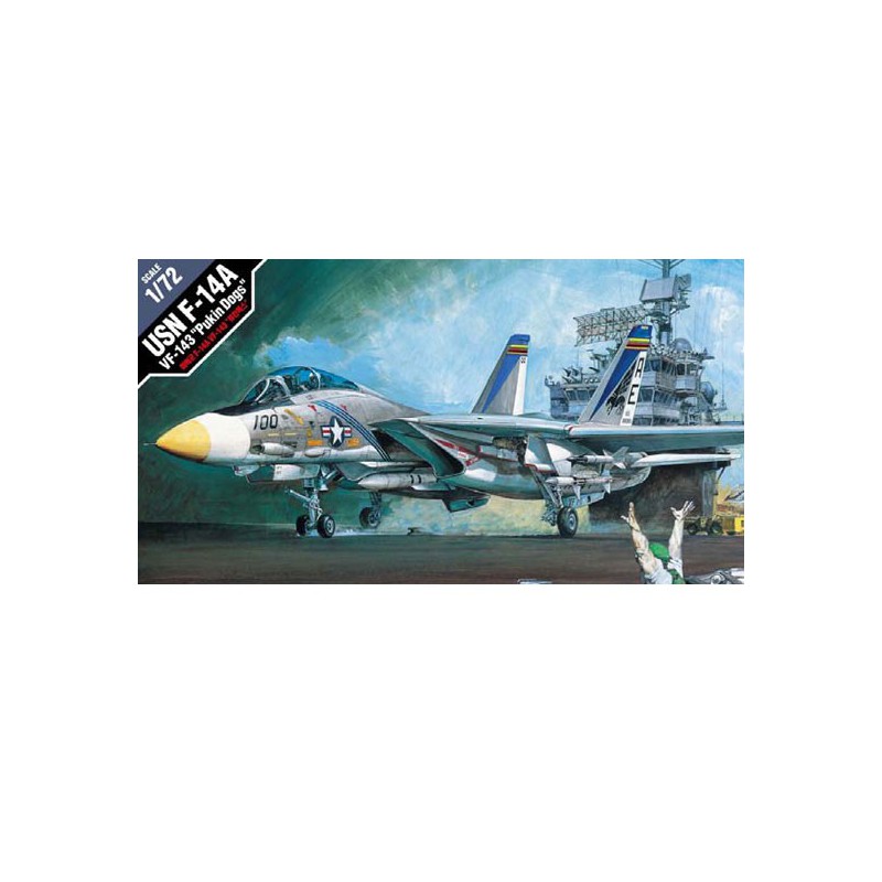 USN F-14A plastic plane model | Scientific-MHD