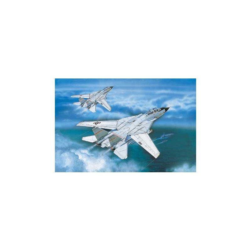 F-14A plastic plane model Tomcat 1/100 | Scientific-MHD
