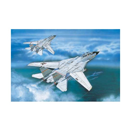 F-14A plastic plane model Tomcat 1/100 | Scientific-MHD