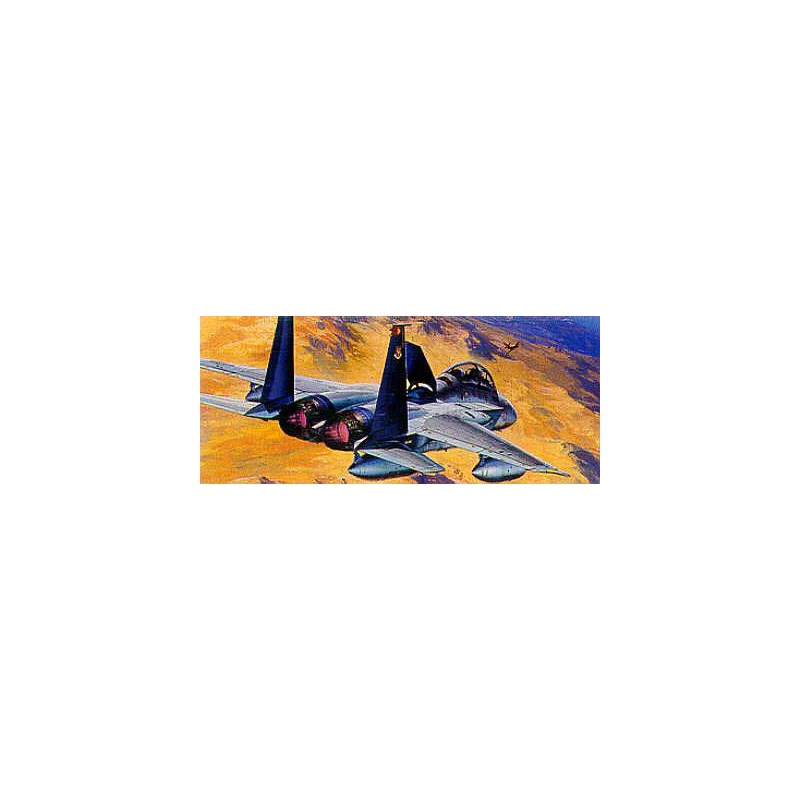F-15D plastic model Eagle1/72 | Scientific-MHD