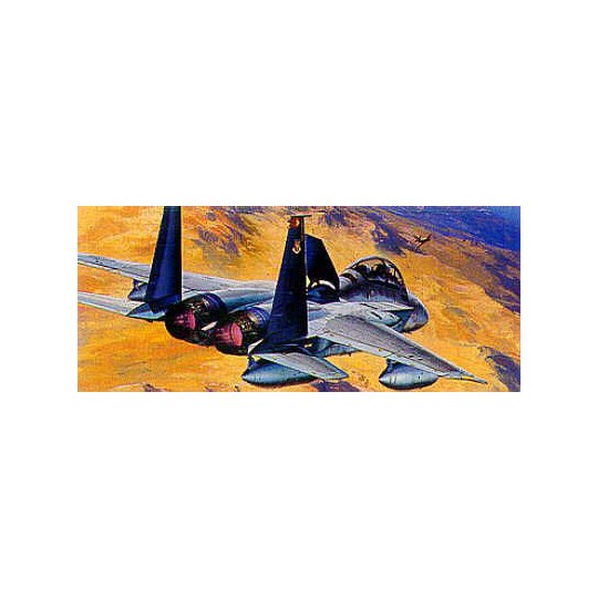 F-15D plastic model Eagle1/72 | Scientific-MHD
