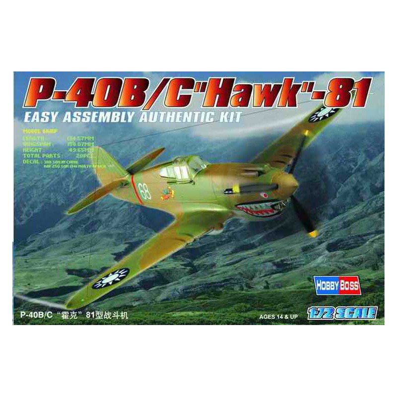 P-40 B/C HAWK-81 1/72 plastic plane model | Scientific-MHD