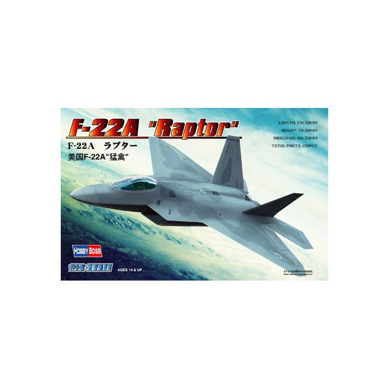 Plastic plane model F-22A Raptor 1/72 | Scientific-MHD