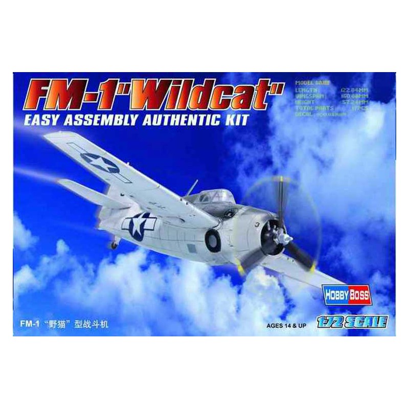 FM-1 plastic plane model 1/72 | Scientific-MHD