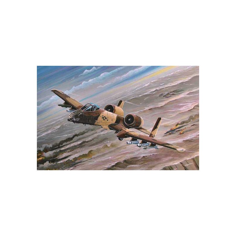 A-10A plastic plane model Thunderbolt II1/72 | Scientific-MHD
